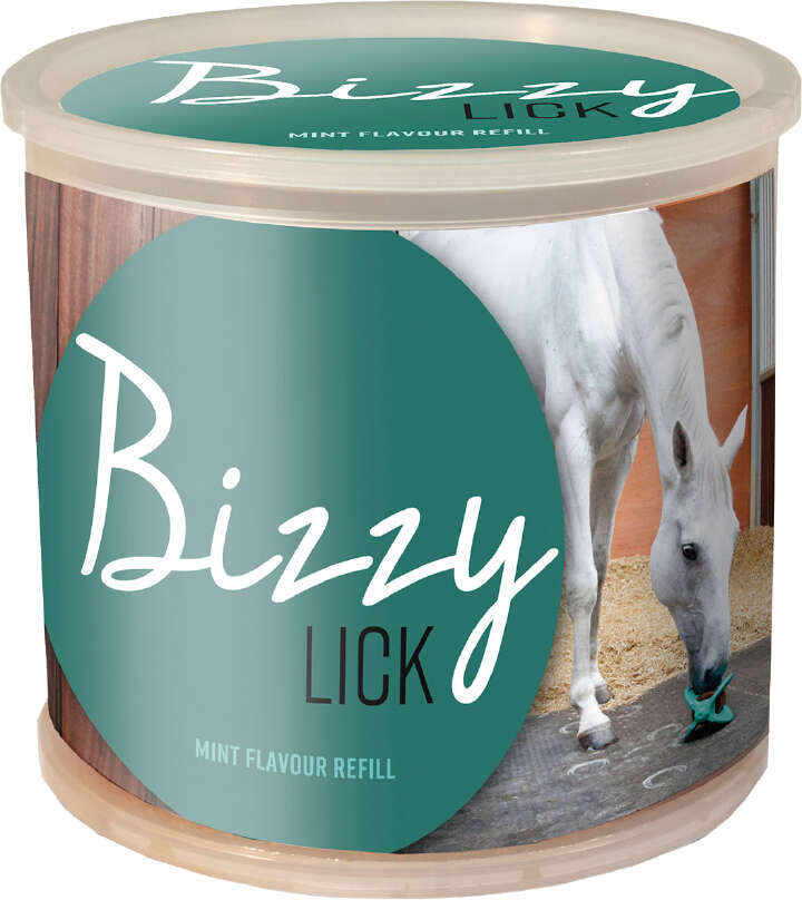BIZZY HORSE Leckstein 1 kg